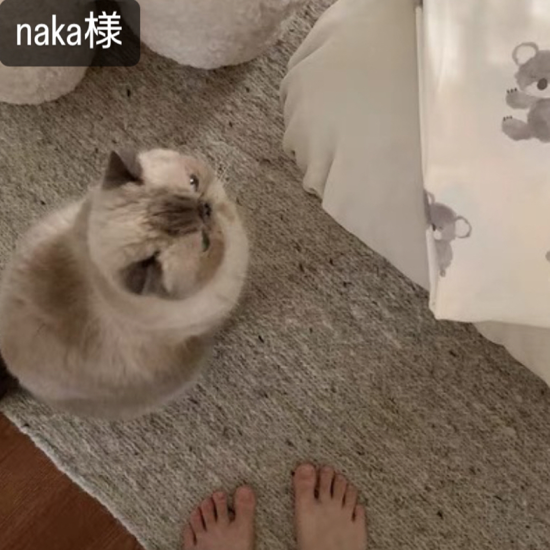 naka様専用 レディースのトップス(その他)の商品写真