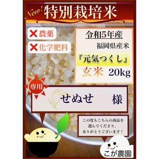 せぬせ様専用　福岡県産「元気つくし」令和５年産　玄米20kg(米/穀物)