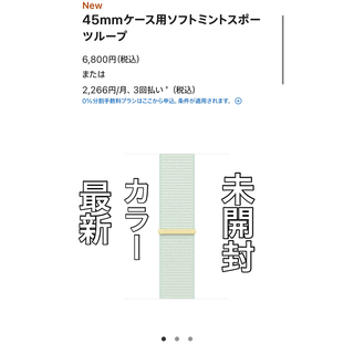 最新カラー　Apple Watch 純正スポーツループ　45mm