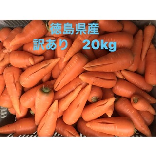 春人参　訳あり　20kg  W 徳島県産(野菜)