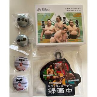 大相撲グッズ パズル ガチャ カーサイン セット売り(相撲/武道)