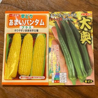 夏野菜 とうもろこし オクラ 種子(プランター)