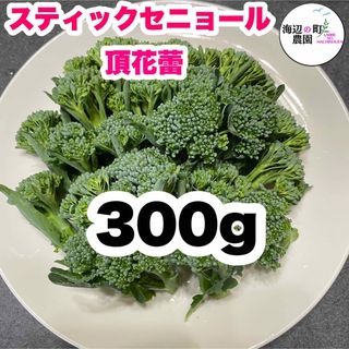 高知県産　茎ブロッコリー　スティックセニョール　野菜　農家直送！ Mo(野菜)