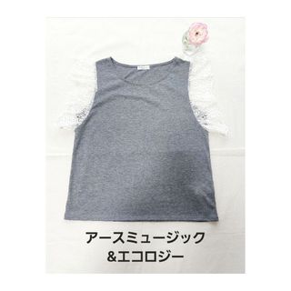 アースミュージックアンドエコロジー(earth music & ecology)のアースミュージック&エコロジー　レース袖　カットソー　グレー　(F)(Tシャツ(半袖/袖なし))