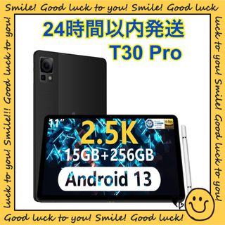 【24時間以内発送】DOOGEE T30 Pro 11インチ