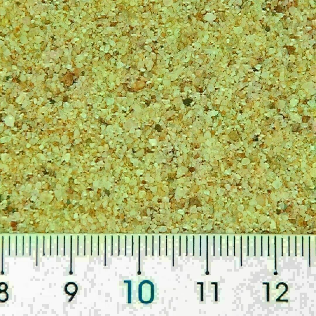 ボトムサンド 1.9kg コリドラス ドジョウ アクアリウム 天然砂 その他のペット用品(アクアリウム)の商品写真