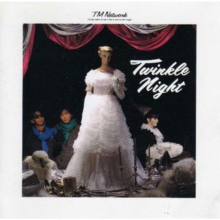 【中古】TWINKLE NIGHT  /TM NETWORK（帯無し）(その他)