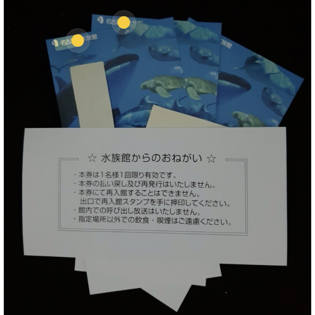 名古屋港水族館　大人　4枚セット  チケットの施設利用券(水族館)の商品写真