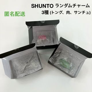 ビーファースト(BE:FIRST)の新品 BE:FIRST SHUNTO プロデュース ランダムチャーム 3種(ミュージシャン)