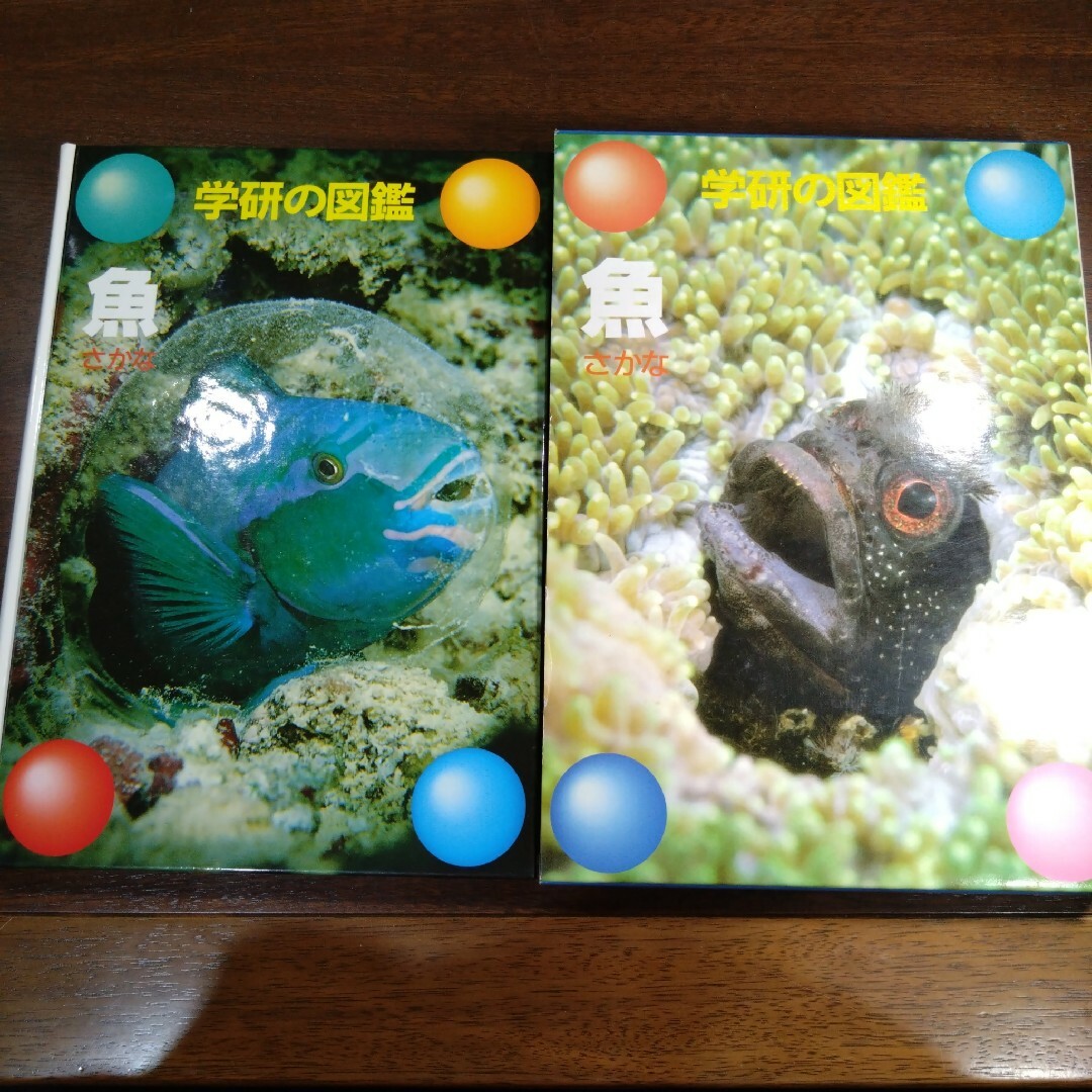 【学研の図鑑】魚（さかな） エンタメ/ホビーの本(絵本/児童書)の商品写真