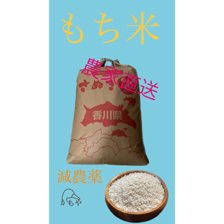 もち米 5kg(玄米重量)(米/穀物)