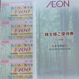 イオン(AEON)のマックスバリュ東海優待券11枚(その他)