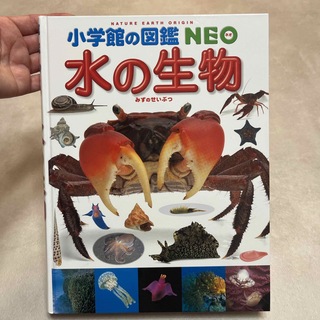 小学館の図鑑　NEO 水の生物