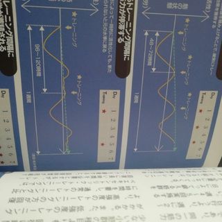 図解スポーツトレーニングの基礎理論