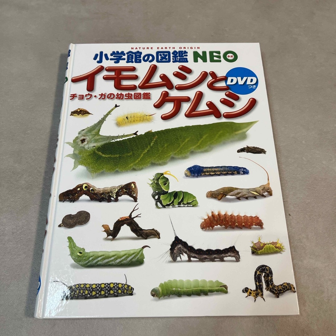 小学館(ショウガクカン)の小学館の図鑑　NEO イモムシとケムシ　DVD付き エンタメ/ホビーのおもちゃ/ぬいぐるみ(キャラクターグッズ)の商品写真