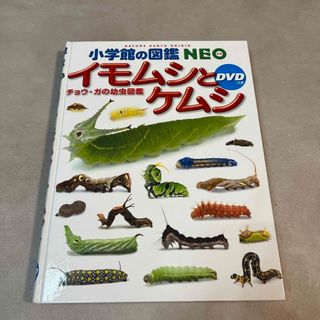 ショウガクカン(小学館)の小学館の図鑑　NEO イモムシとケムシ　DVD付き(キャラクターグッズ)