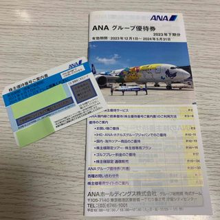 エーエヌエー(ゼンニッポンクウユ)(ANA(全日本空輸))の【株主優待】ANA 全日空 1枚 グループ優待券1冊(その他)