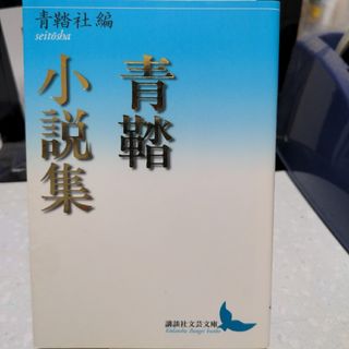 青鞜小説集(文学/小説)