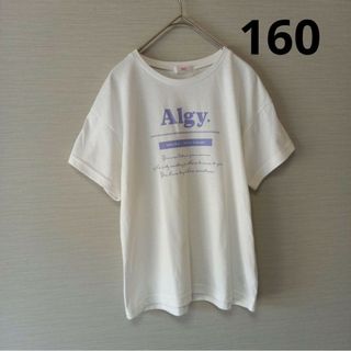 アルジー(ALGY)のALGY アルジー 白 半袖 ロゴTシャツ キッズ 160サイズ(Tシャツ/カットソー)