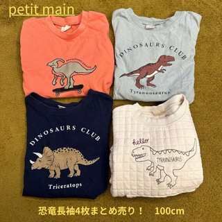 プティマイン(petit main)のpetit main 恐竜シリーズ長袖4枚セットまとめ売り！100cm(Tシャツ/カットソー)