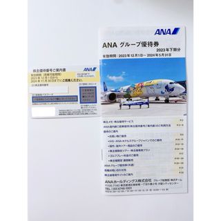 エーエヌエー(ゼンニッポンクウユ)(ANA(全日本空輸))のANA（全日空）株主優待券＋グループ優待券(その他)