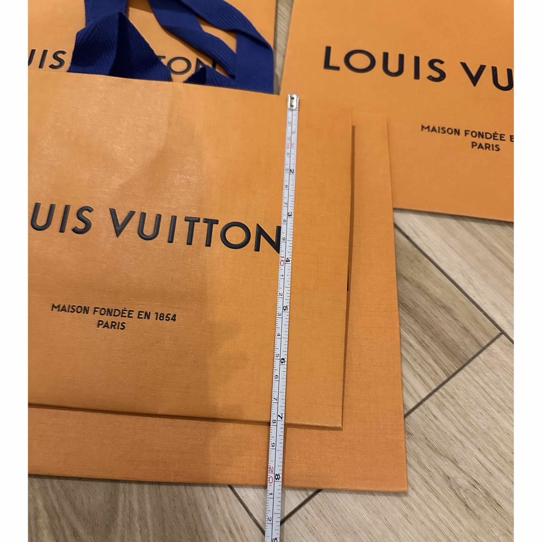 LOUIS VUITTON(ルイヴィトン)のルイヴィトン ショッパー4枚セット サイズ2種類 レディースのバッグ(ショップ袋)の商品写真