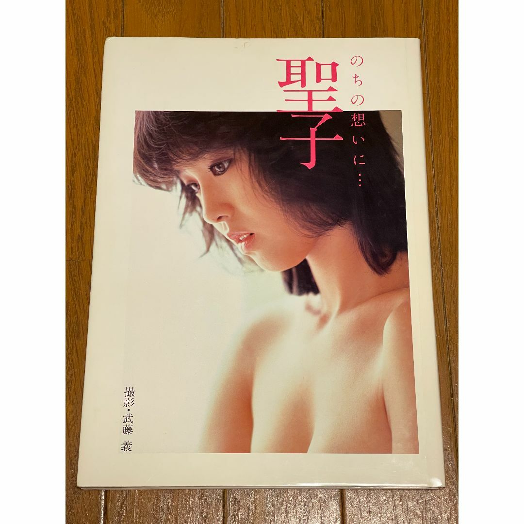 松田聖子 写真集 エンタメ/ホビーの本(アート/エンタメ)の商品写真