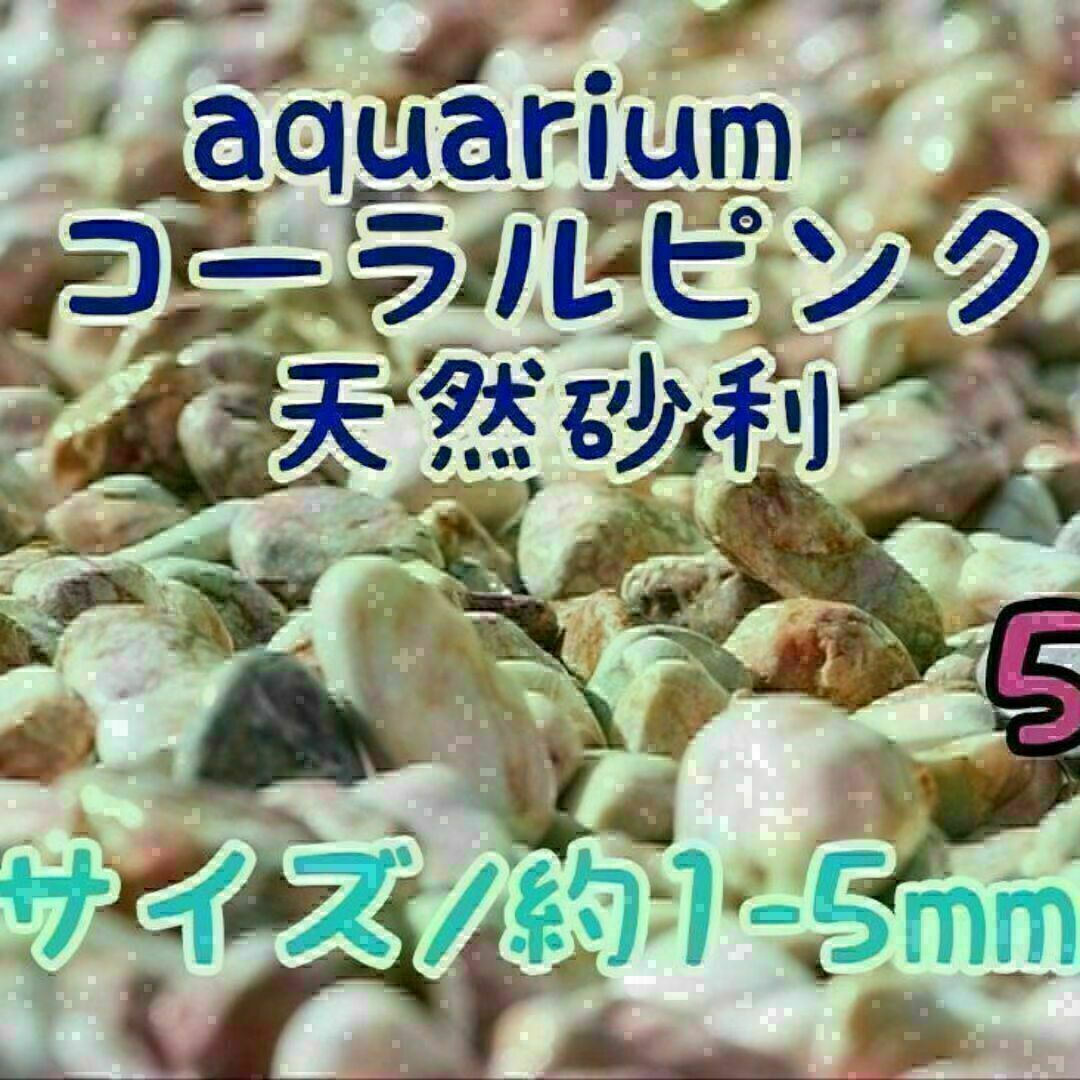 コーラルピンク 天然 砂利1-5mm 5kg アクアリウム メダカ 熱帯魚 金魚 その他のペット用品(アクアリウム)の商品写真