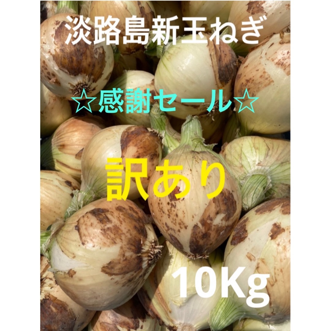 ✴︎訳あり10Kg✴︎淡路島新玉ねぎ　たまねぎ　玉葱 食品/飲料/酒の食品(野菜)の商品写真