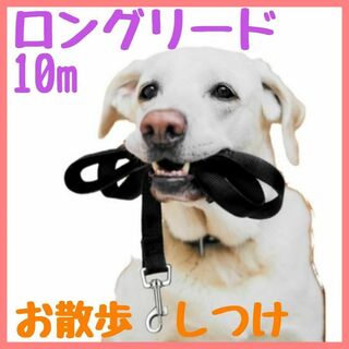 リード 黒 10ｍ ブラック 犬 ドッグ ロング 散歩 トレーニング しつけ(犬)