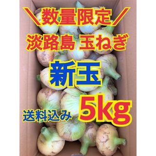 淡路島 玉ねぎ 玉葱 新玉 5kg 送料込み 農家直送 南あわじ(野菜)