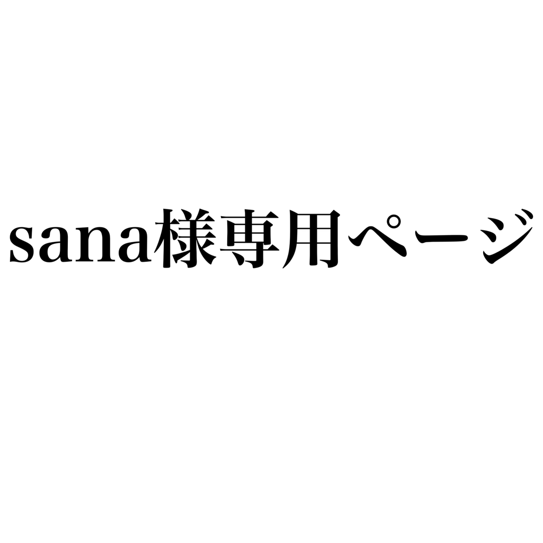 sana様専用ページ キッズ/ベビー/マタニティのキッズ/ベビー/マタニティ その他(その他)の商品写真