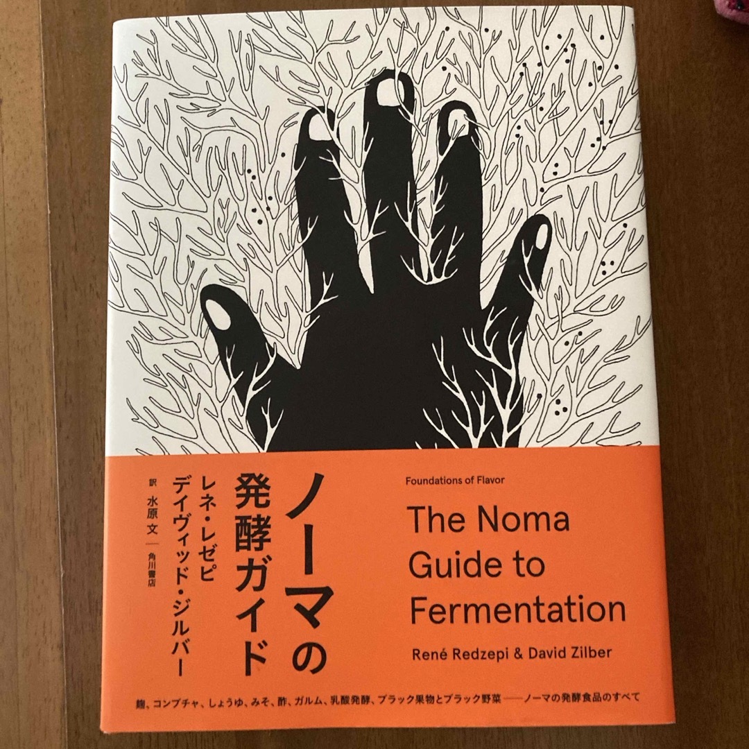 ノーマの発酵ガイド エンタメ/ホビーの本(料理/グルメ)の商品写真