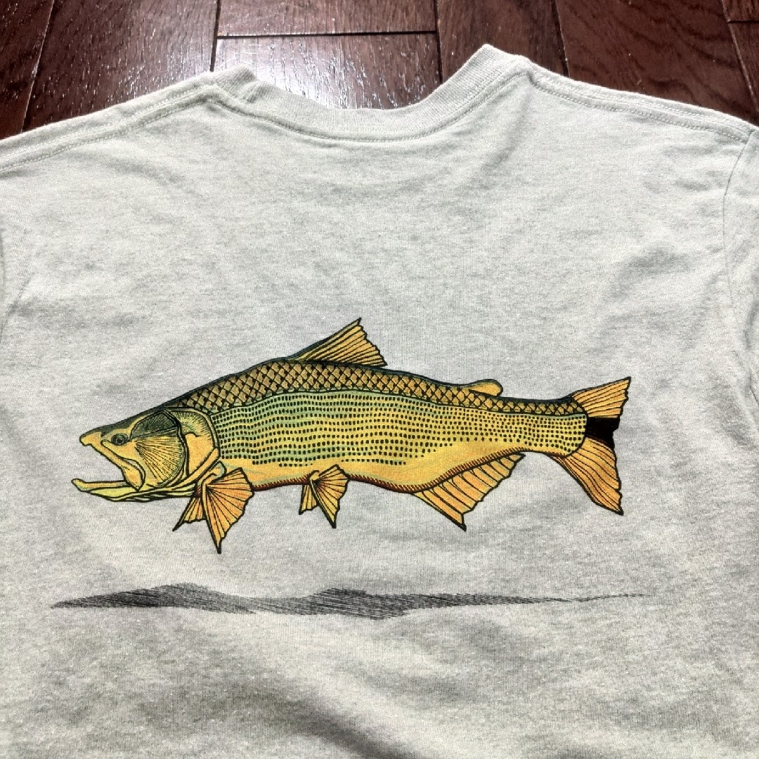 【当店一番人気】 patagonia 魚の トラウト XS Tシャツ trout world patagonia - 半袖Tシャツ