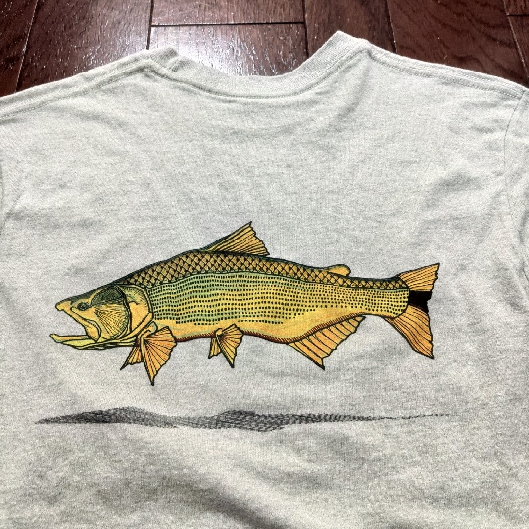 patagonia(パタゴニア)のpatagonia　world trout Tシャツ　XS　トラウト　魚 メンズのトップス(Tシャツ/カットソー(半袖/袖なし))の商品写真