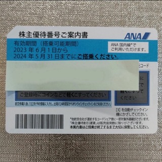 ANA株主優待券 1枚 (国内全路線で利用可)(航空券)