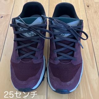 サロモン(SALOMON)のサロモン　登山靴　25センチ(スニーカー)