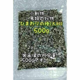 アメリカ産 ひまわりの種 500g 大粒 小動物 鳥類 ハムスターのおやつ(アクアリウム)