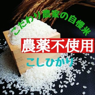 こだわり農家の自慢米  白米5㎏(無農薬栽培)　　　　　令和5年産(米/穀物)