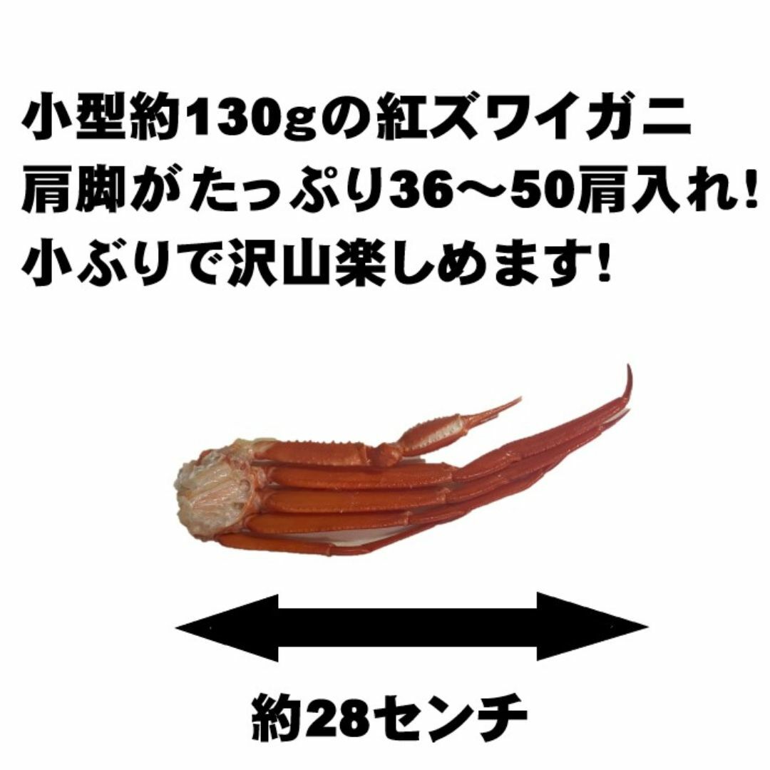 【22800円→12800円！】訳あり　紅ズワイガニ肩Sサイズ　B品　5Kg　蟹　ずわい　かに 食品/飲料/酒の食品(魚介)の商品写真