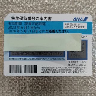 ANA株主優待券 1枚 (国内全路線で利用可) (航空券)