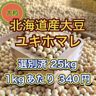 大人気 北海道産 大豆 25kg 匿名配送 自家製 味噌 納豆 豆腐 豆乳(米/穀物)