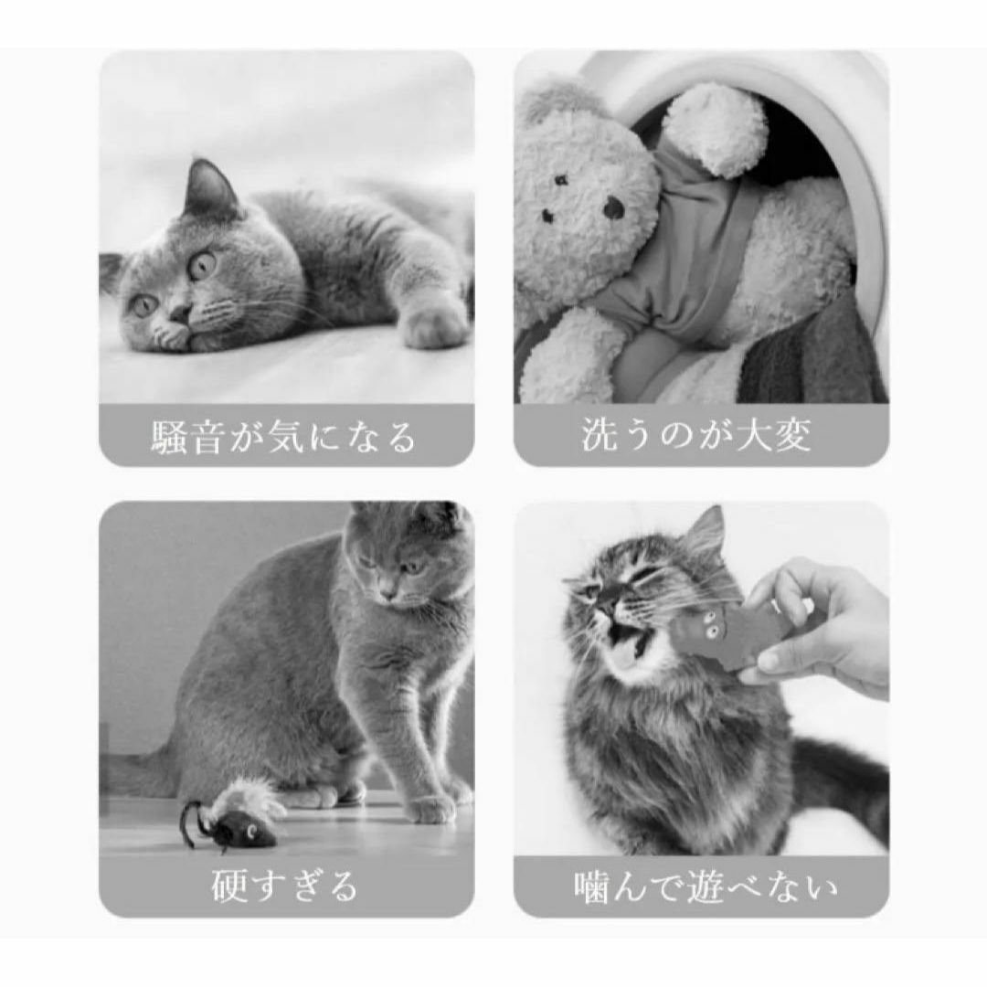 猫 おもちゃ ボール ピンク 電動 自動 ペット 犬 肥満防止 運動 コロコロ その他のペット用品(猫)の商品写真