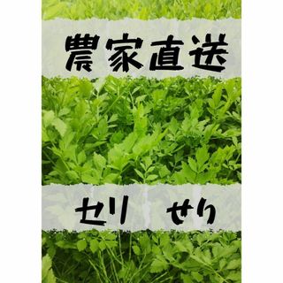 [農家直送]天然せり300g以上(芹・セリ)栽培期間中、農薬不使用。化学肥料不使(野菜)