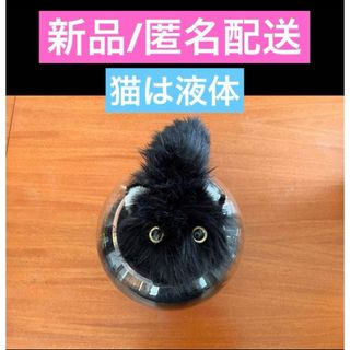 新品未使用 せこなお mokemono ぬいぐるみ 猫は液体 黒猫(ぬいぐるみ)