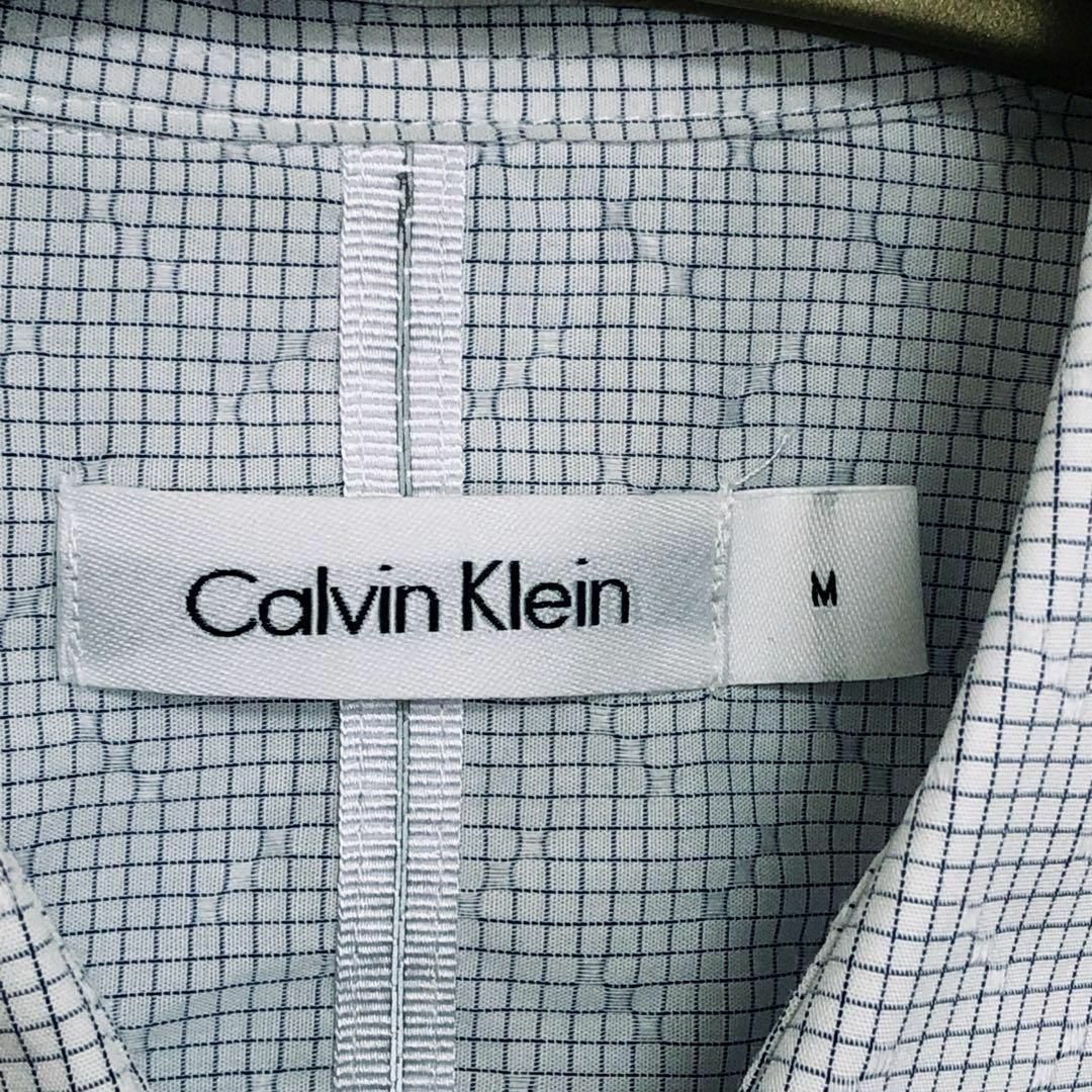 Calvin Klein(カルバンクライン)のＣＫカルバンクライン　サイズＭ　半袖シャツ　白淡い青　ギンガムチェック系　古着 メンズのトップス(シャツ)の商品写真