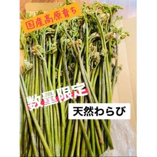 数量限定　高原　天然　わらび　600 g ＋おまけ(野菜)