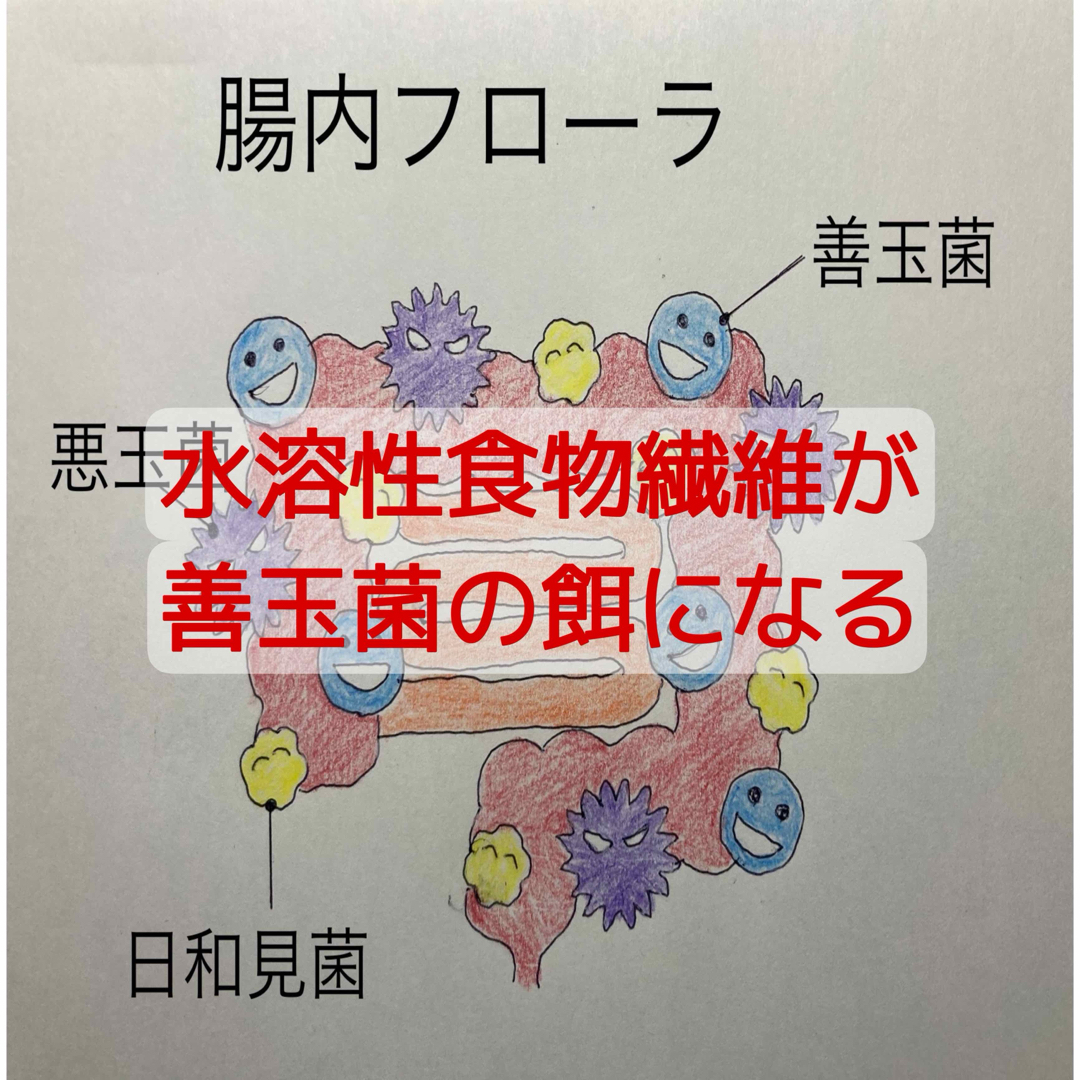 疲労、免疫力、炎症に！副腎と腸を元気にする！【しん健堂　ラクトファイバーB】 食品/飲料/酒の健康食品(ビタミン)の商品写真