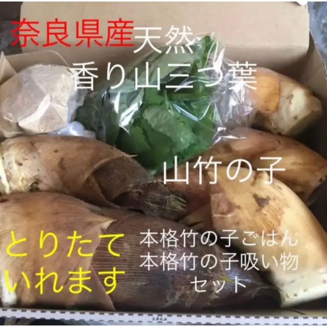 昼からとれたて当日発送！山竹の子と天然山三つ葉 たけのこ ぬか付 食品/飲料/酒の食品(野菜)の商品写真