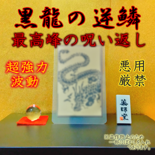 【黒龍の逆鱗】最強呪い返し 呪詛返し 願成就 縁切り縁結び 霊視占い 金運お守り(その他)